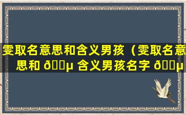 雯取名意思和含义男孩（雯取名意思和 🐵 含义男孩名字 🐵 ）